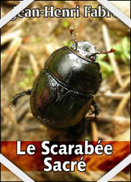 J.H. Fabre Le scarabée sacré